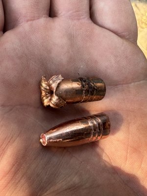 IMG_0546.jpeg IMG_0546.jpeg