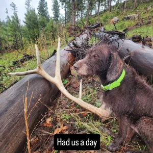 inbound3509563509163591206.webp inbound3509563509163591206.webp