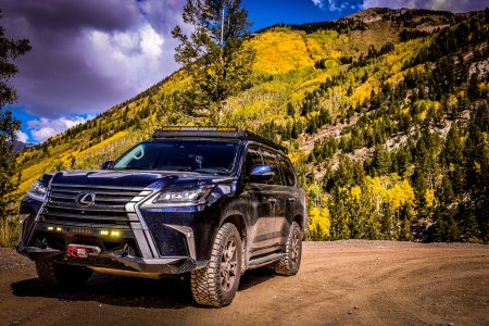 953A5013.jpeg 953A5013.jpeg