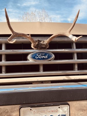 truck antlers.jpg truck antlers.jpg