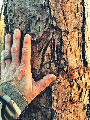 Sammy's gang signs.JPG