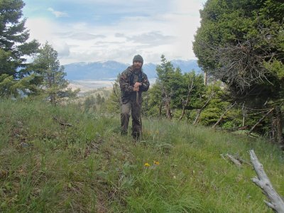 IMG_3822.jpeg IMG_3822.jpeg