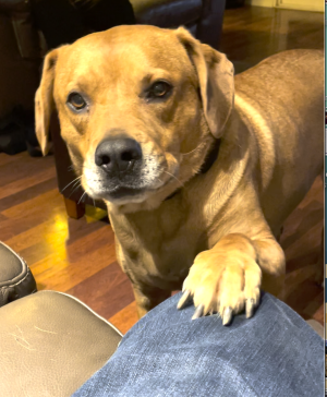 Screen Shot 2026-01-25 at 12.55.06 PM.png