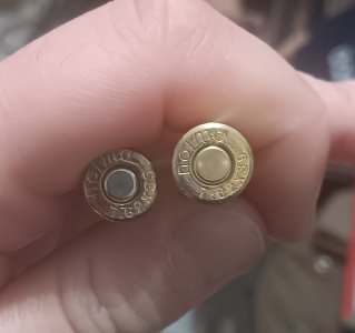 20260209_175018 (2).jpg