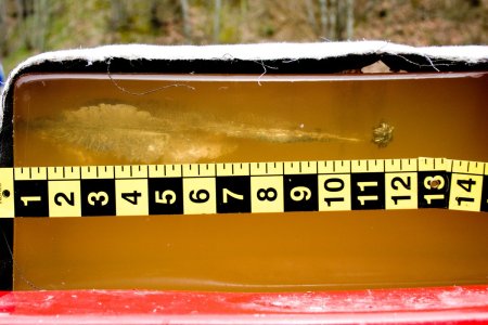 TPD AMMO AND WEAPONS TESTING Winchester_03-19-12_45cal_Ranger_+P_T-Series_230gr_RA45TP_HeavyCl...jpg