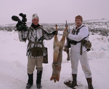 Shifty Sheep farm coyote.JPG