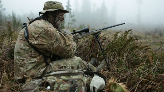 Shifty Tree farm predator1.JPG