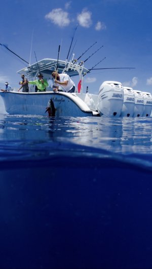 IMG_7518.jpeg IMG_7518.jpeg