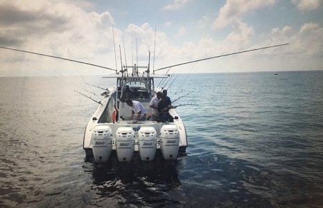 IMG_7517.jpeg IMG_7517.jpeg