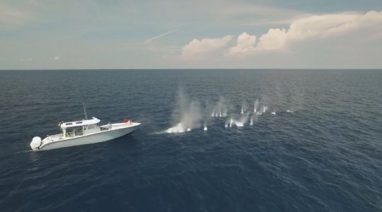 IMG_7516.jpeg IMG_7516.jpeg