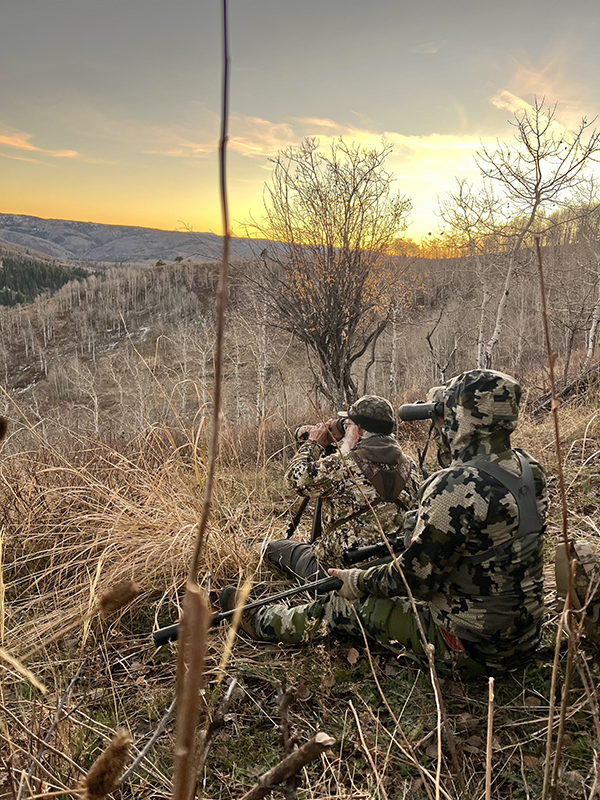 Glassing for elk on the mountain. 
