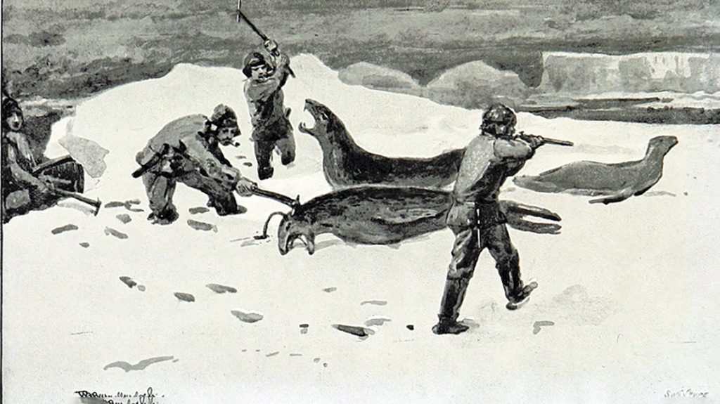 seal hunting
