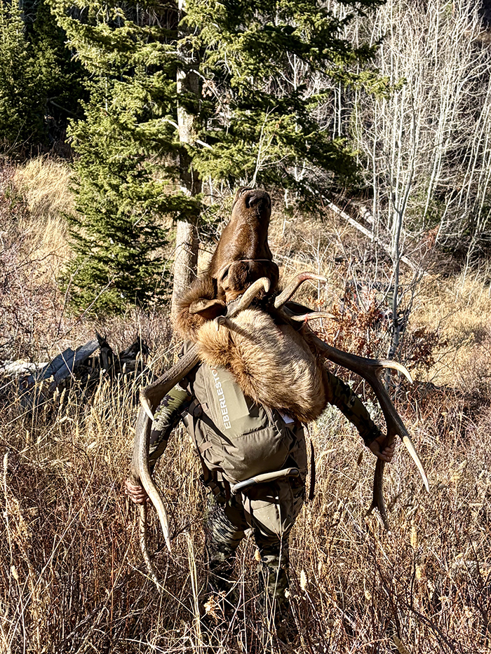 Packing out an elk. 