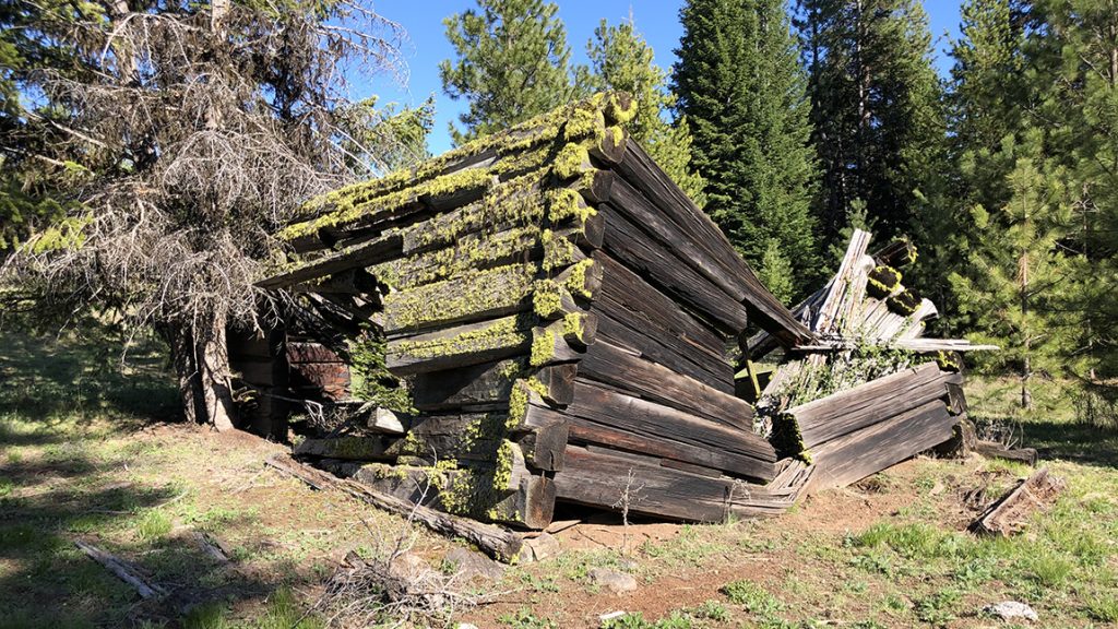 Old pioneer cabin in the West. 