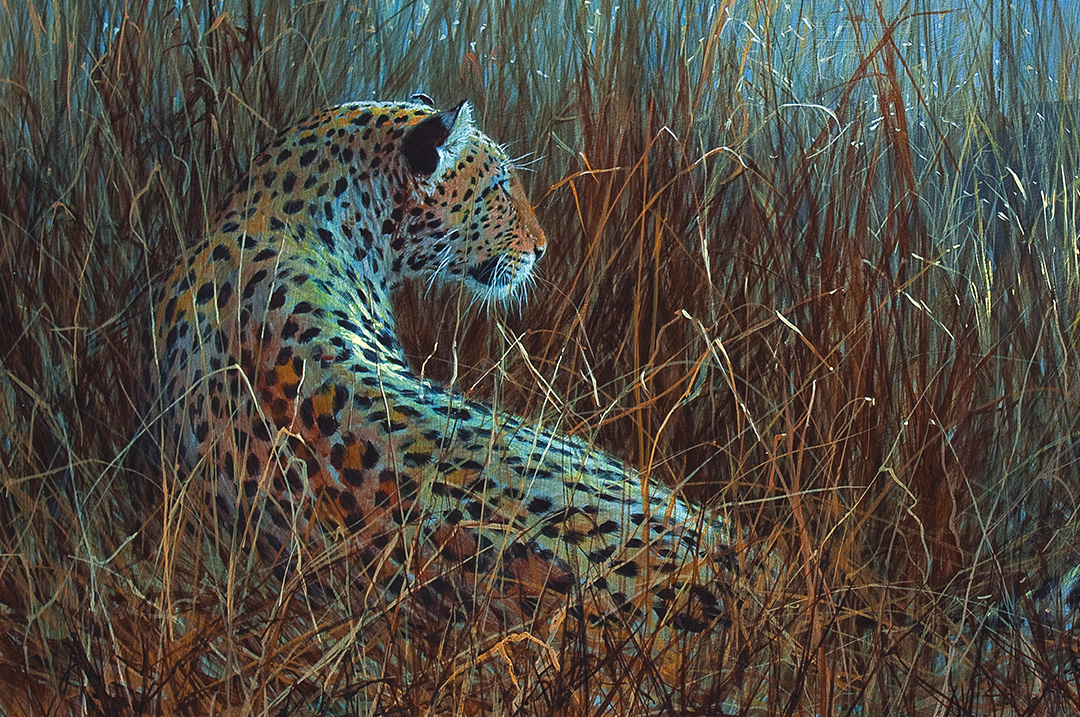 sportingclassicsdaily.com