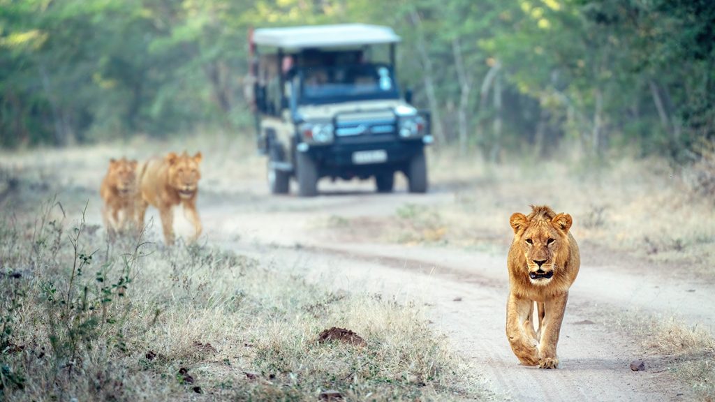 Love hurts in Africa.